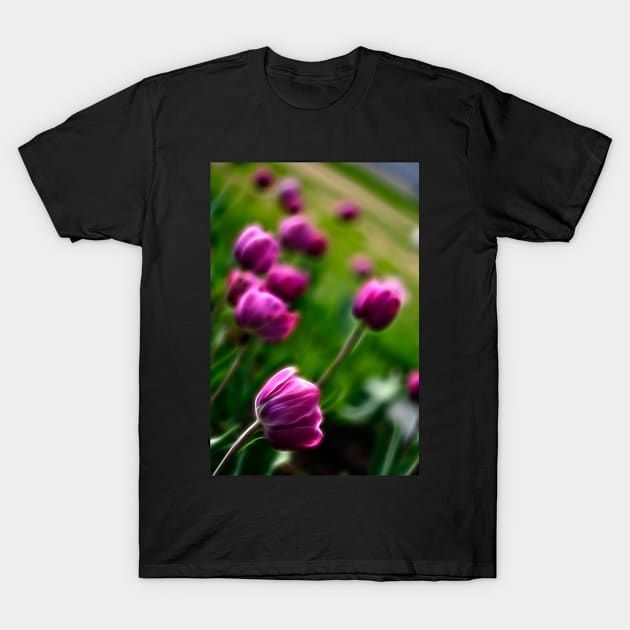 Tulip Garden T-Shirt by somadjinn